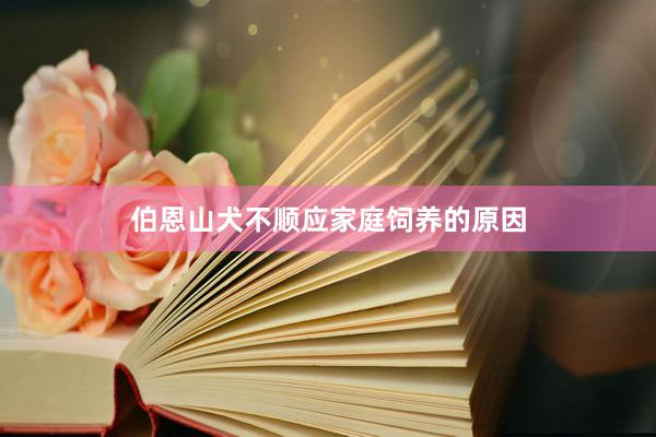 伯恩山犬不顺应家庭饲养的原因
