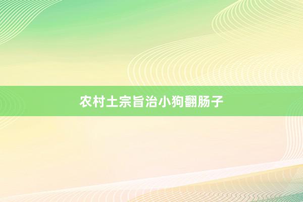 农村土宗旨治小狗翻肠子