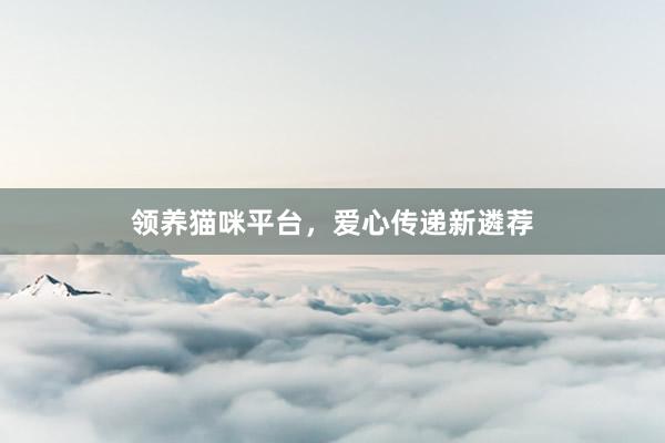 领养猫咪平台,爱心传递新遴荐